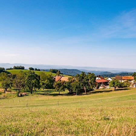 Hofgut Leo Hotel Zell im Wiesenthal Екстериор снимка