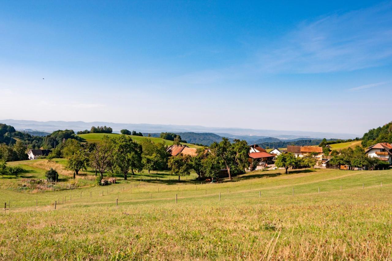 Hofgut Leo Hotel Zell im Wiesenthal Екстериор снимка